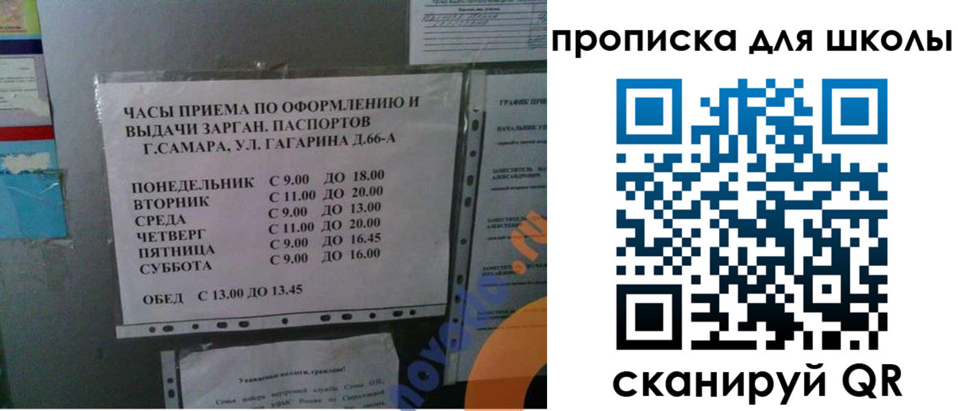 где прописаться в Оленегорске