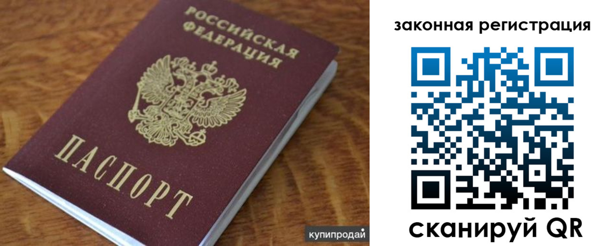 прописка гарантия в Оленегорске